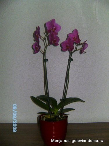 Fotoalbom 032.JPG