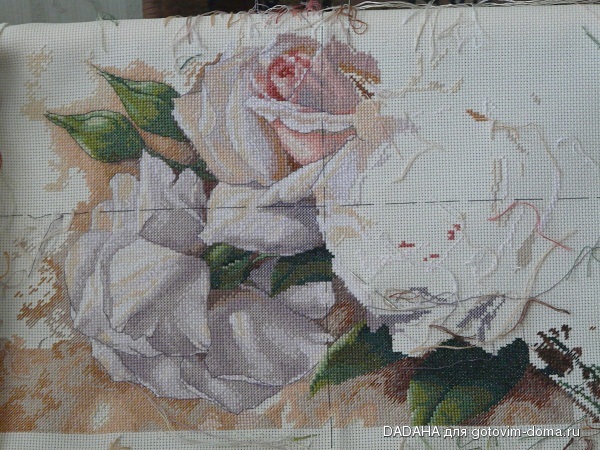 P1050671=2.jpg