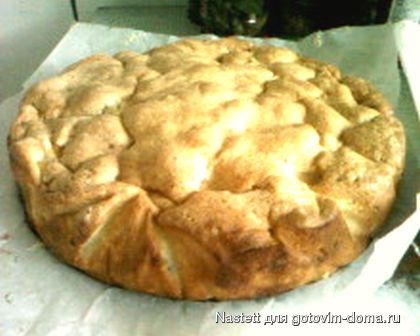 IMG0221A.jpg