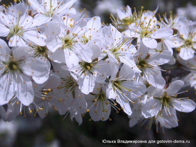 DSCN5294.JPG
