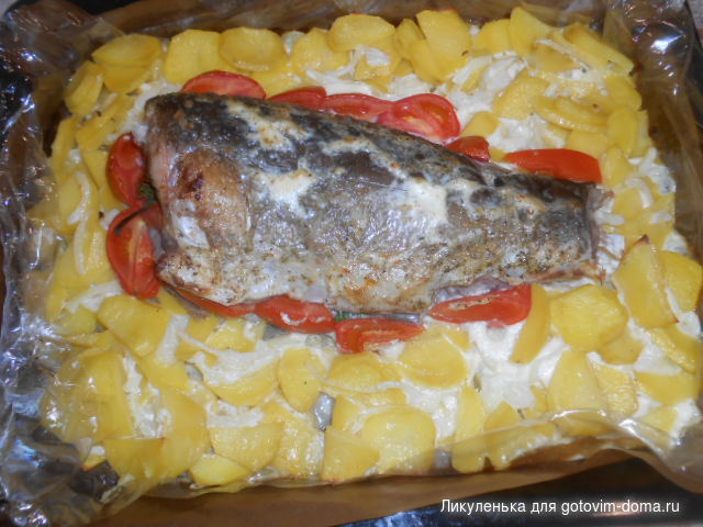 DSCN7306.JPG