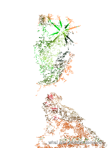 03.gif