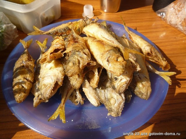 P1160035.JPG