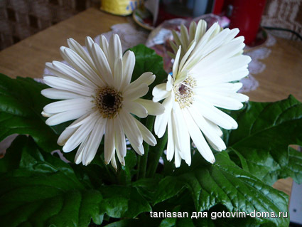 P1170265.jpg