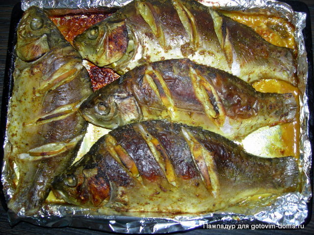 DSCN6713.JPG