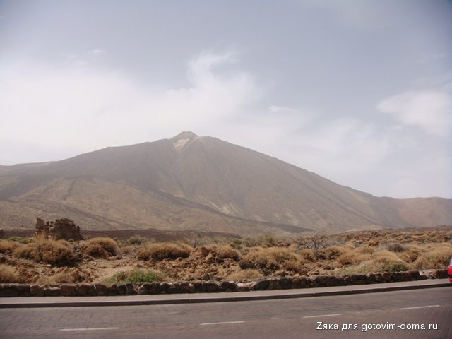 DSC05731.JPG