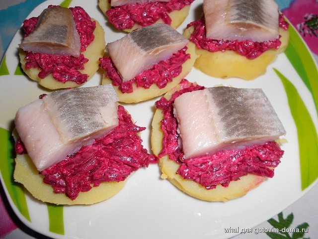 DSCN5276.JPG