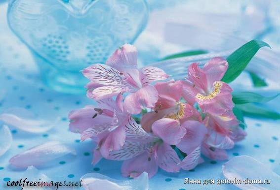 flowers_07.jpg