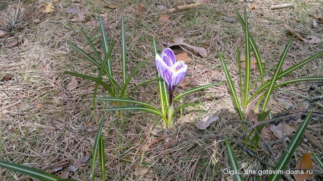 2013-05-03-625.jpg