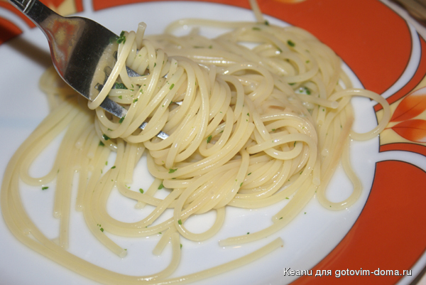 DSC08668.jpg