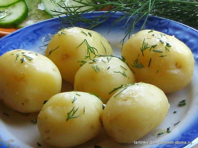 молодая картошка.jpg