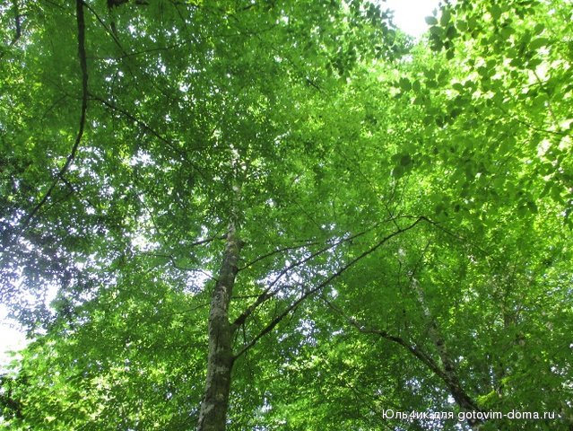 IMG_2042.JPG