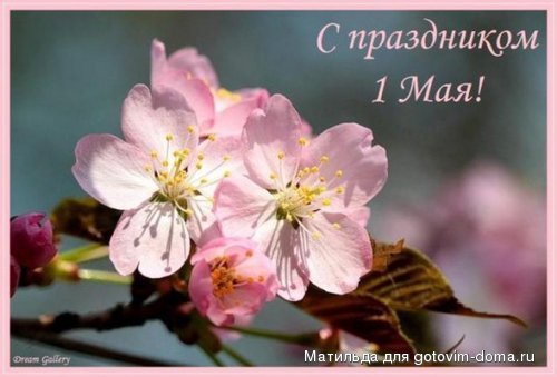 prazdnik_pervomay_foto_otkrytki.jpg