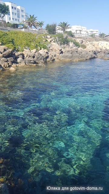 20170622_082343.jpg