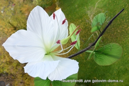 P1040855 - Kopie.JPG