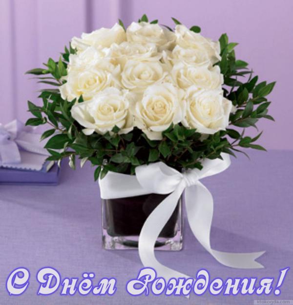 8bf86ed13d755141aa396739b14a.jpg