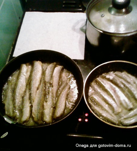 SP_A0502.jpg