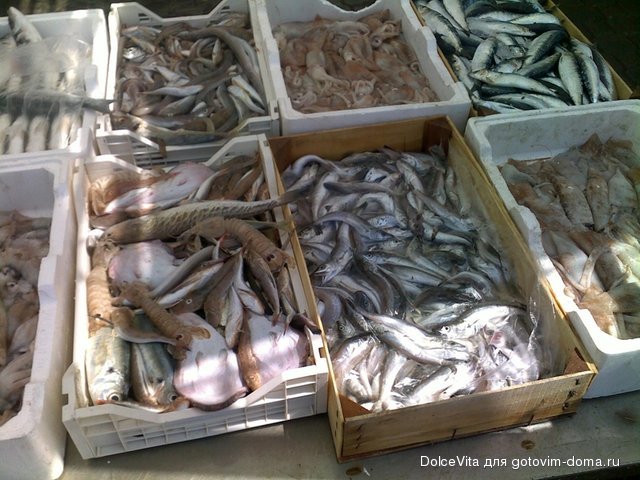 porto mercato3.jpg