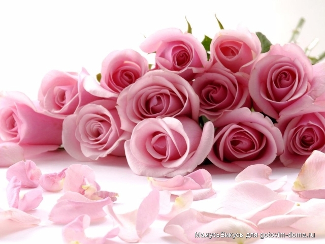 bunch_of_pink_roses_with_petals_lying_around.jpg