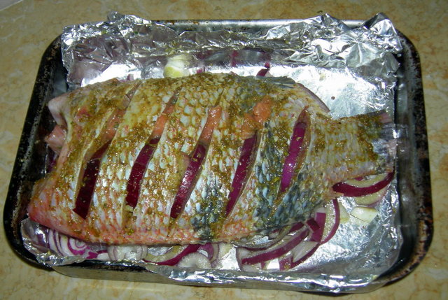 DSCN9027.JPG