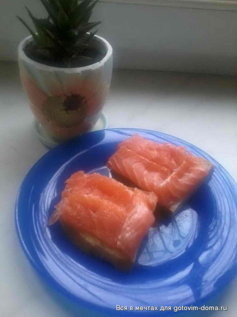 2012-11-07 10.53.20.jpg