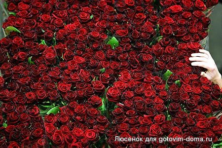19820858_u70_130254.jpg