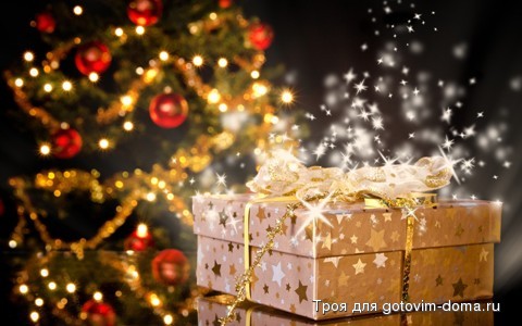 new_year_present.jpg