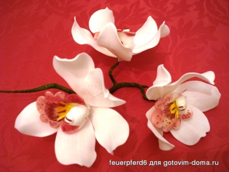 rezepte 160.jpg