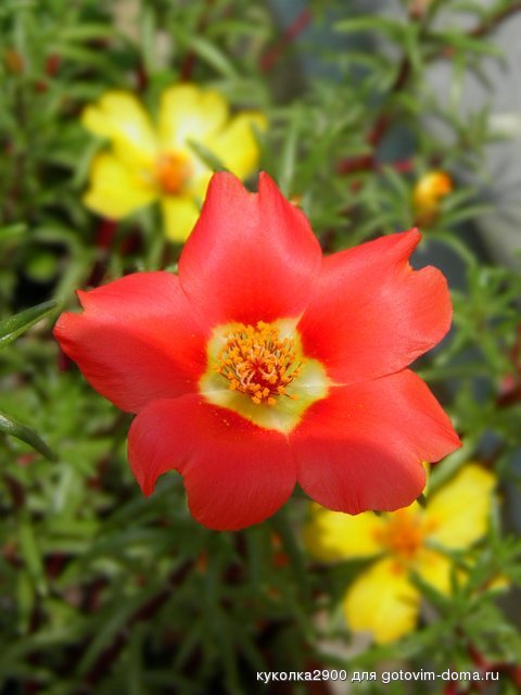 1107 2.jpg