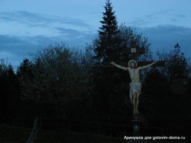 P5010138.jpg