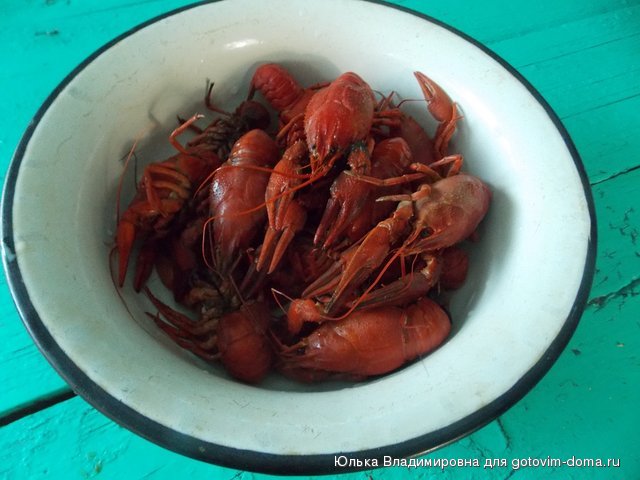 DSCN0310.jpg