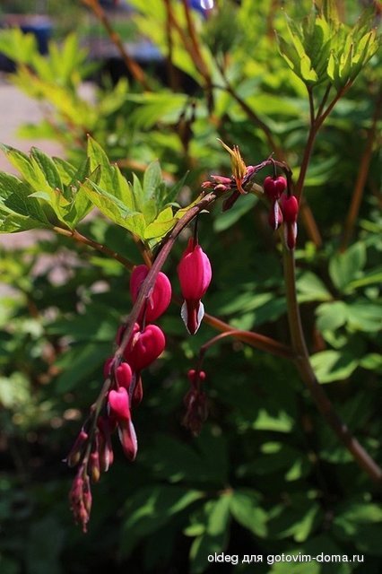 2013_05_05_0137.jpg