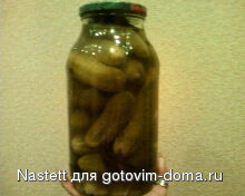 IMG0148A.jpg
