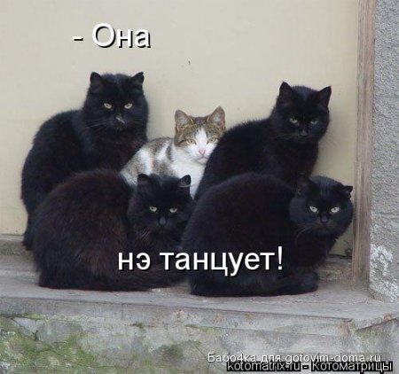 1236072062_news_txtd.jpg