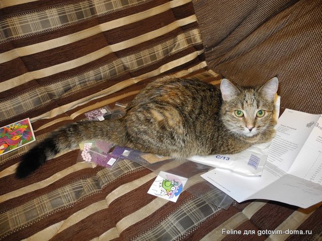 DSCN8204.JPG