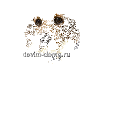 202216519.gif