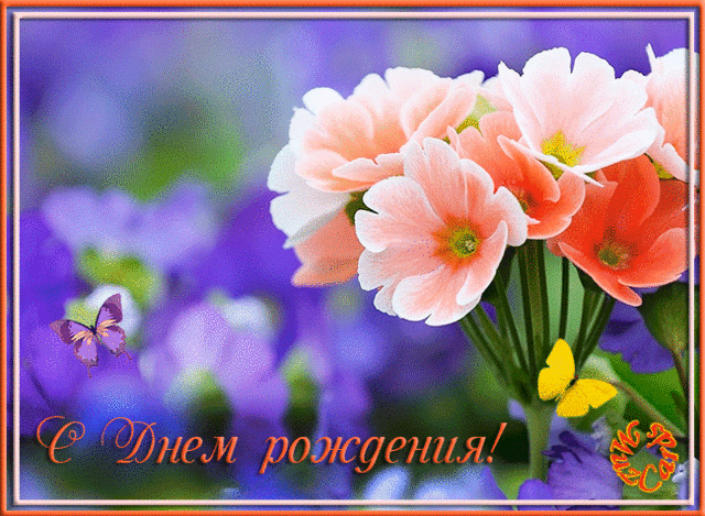 бабочки.gif