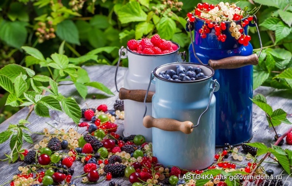 collection-of-wild-berries.jpg