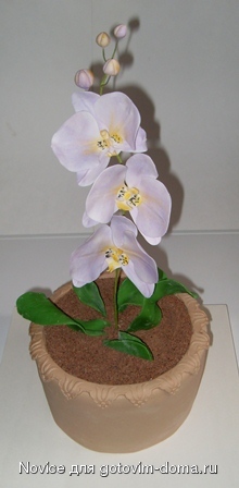 SDC10670.JPG