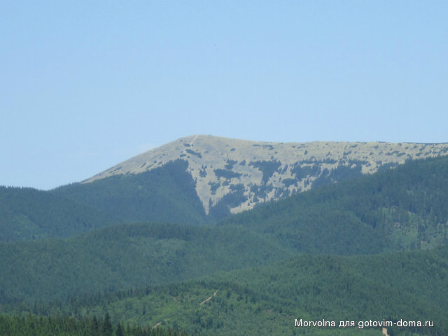 IMG_9496.JPG