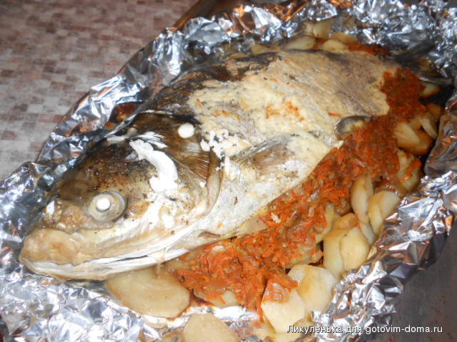 DSCN6149.JPG