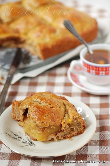 pirog dv.jpg