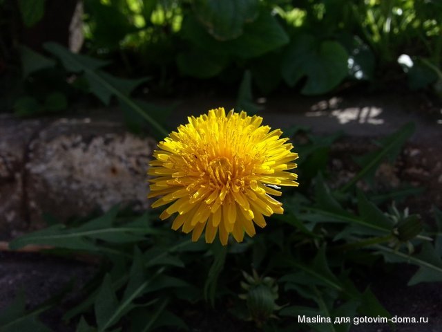 20130501_161350.jpg