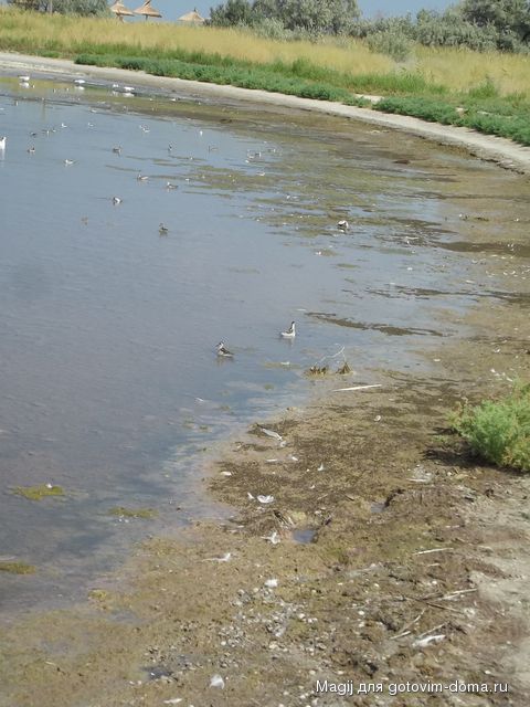 DSCF4507.JPG