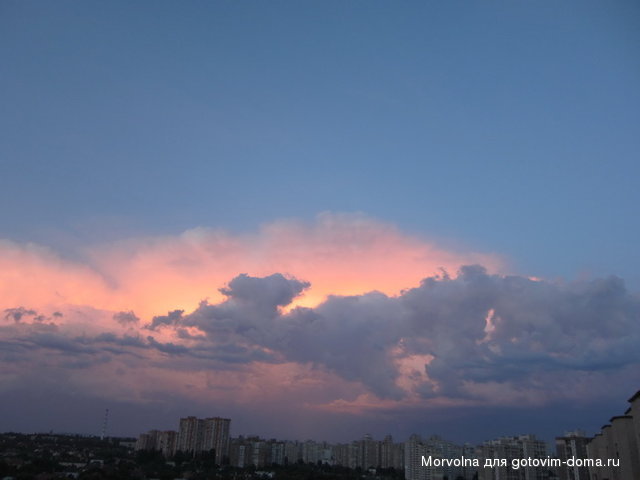 зак3.jpg