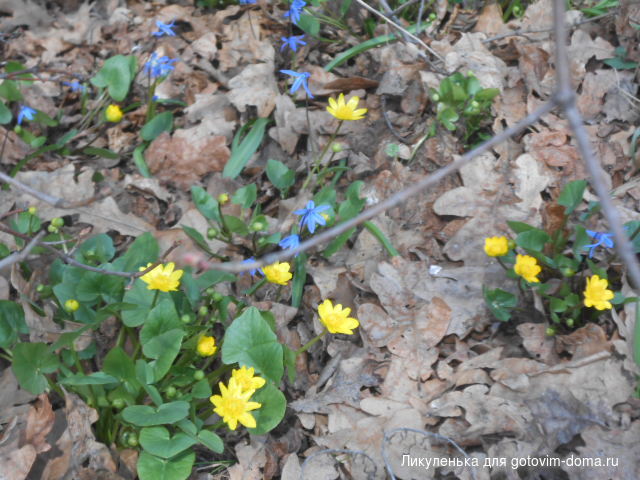 DSCN4092.JPG