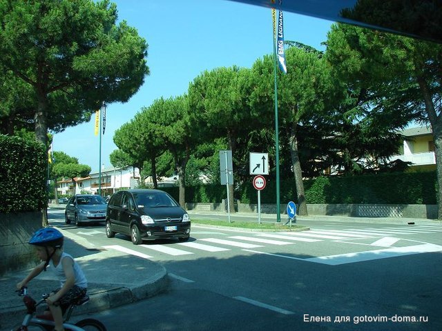 DSC00502.JPG