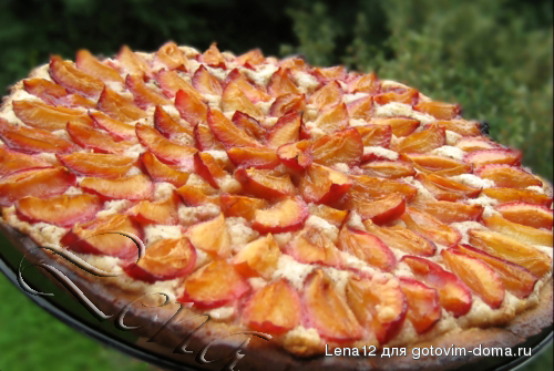 Pirog_sliva_oreh.jpg