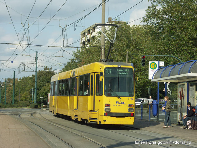 tramtom_1481.jpg