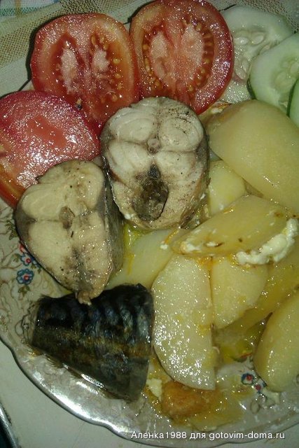 скумбрия 1.JPG